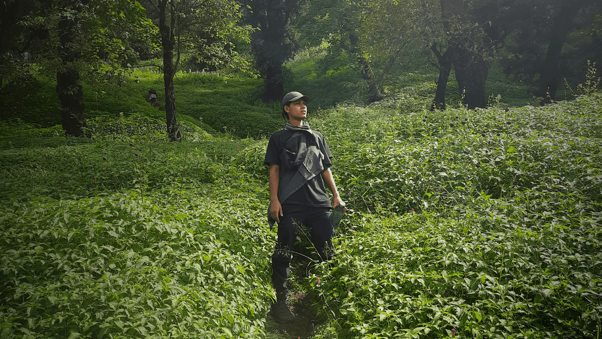 Founder of Raw Travel Project — Inu Etc