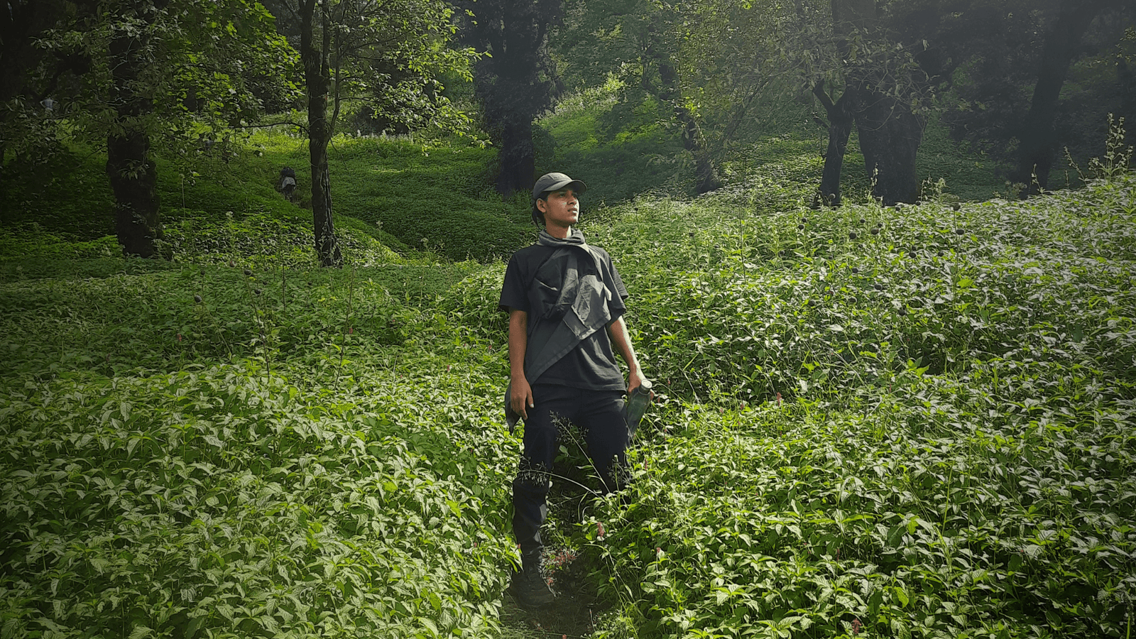 Founder of Raw Travel Project — Inu Etc
